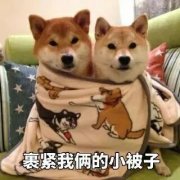 (lin)g˾ (tng)f(shu)90ȱX(ju)ゃϲ˯X(ju)ʲô