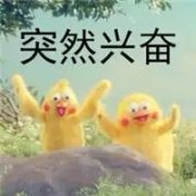(lin)g-_(ki)ɌMЇ˸X(qin)ʲô